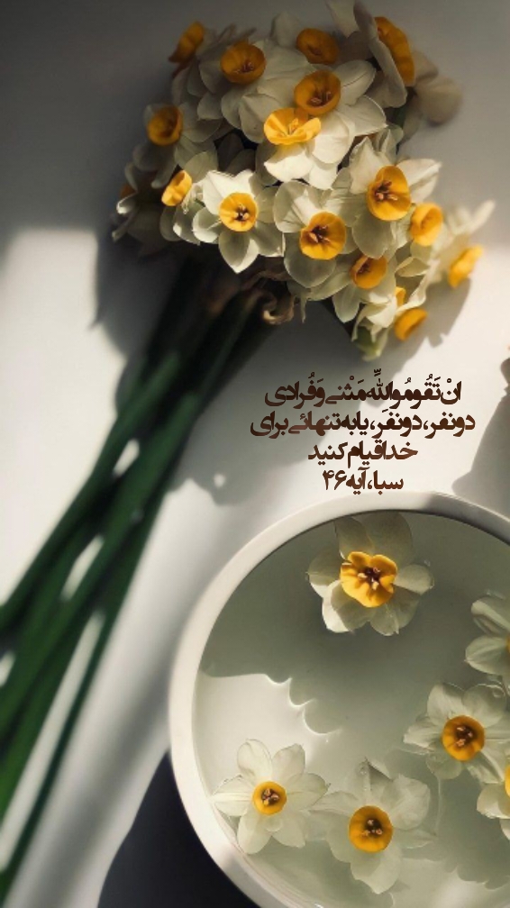 1784628221negar_1784628071436.jpg